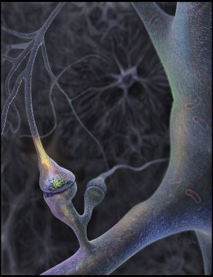 sinapsi.jpg