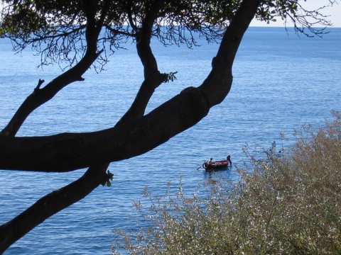 tra le fronde, pescatore