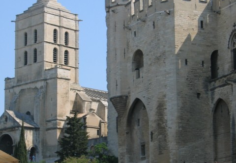 Avignone2