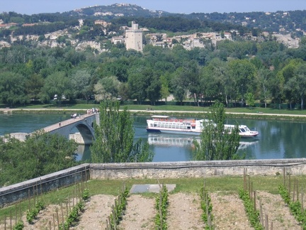 Avignone4