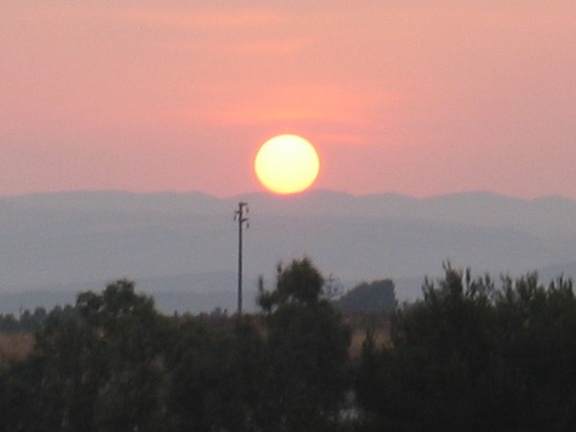 IMG 0020