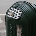 IMG 4202
