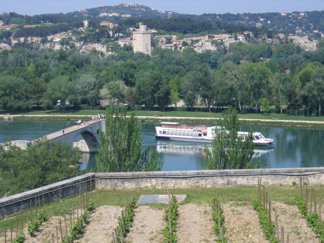 Avignone4.jpg